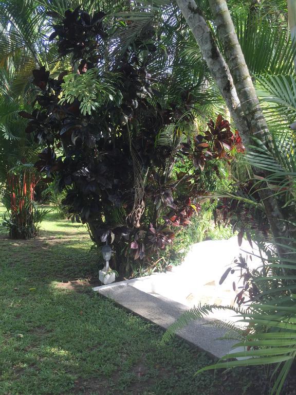 Magellan Boutique Hotel Cahuita Eksteriør bilde