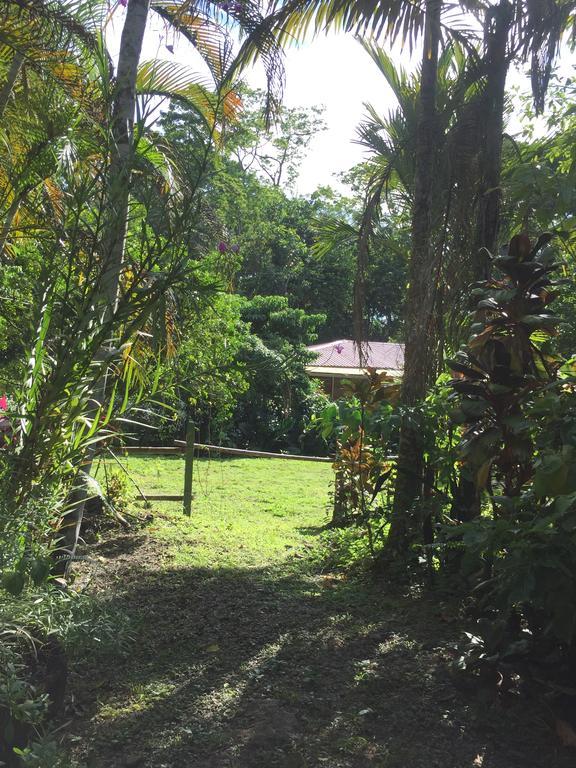 Magellan Boutique Hotel Cahuita Eksteriør bilde
