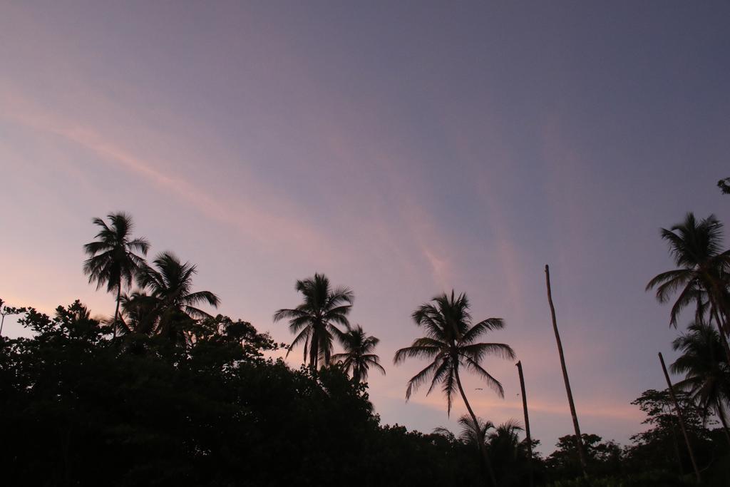 Magellan Boutique Hotel Cahuita Eksteriør bilde