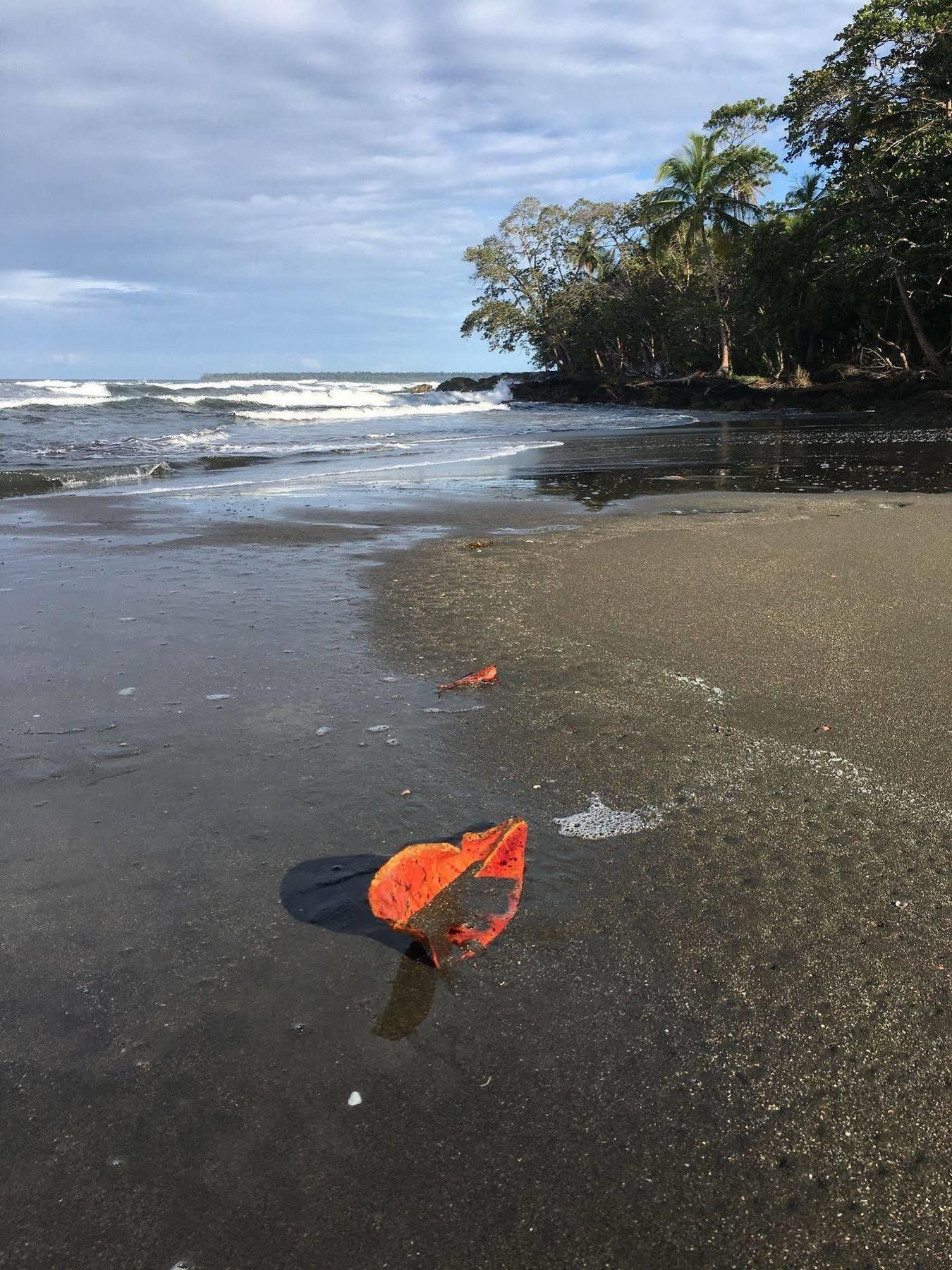 Magellan Boutique Hotel Cahuita Eksteriør bilde